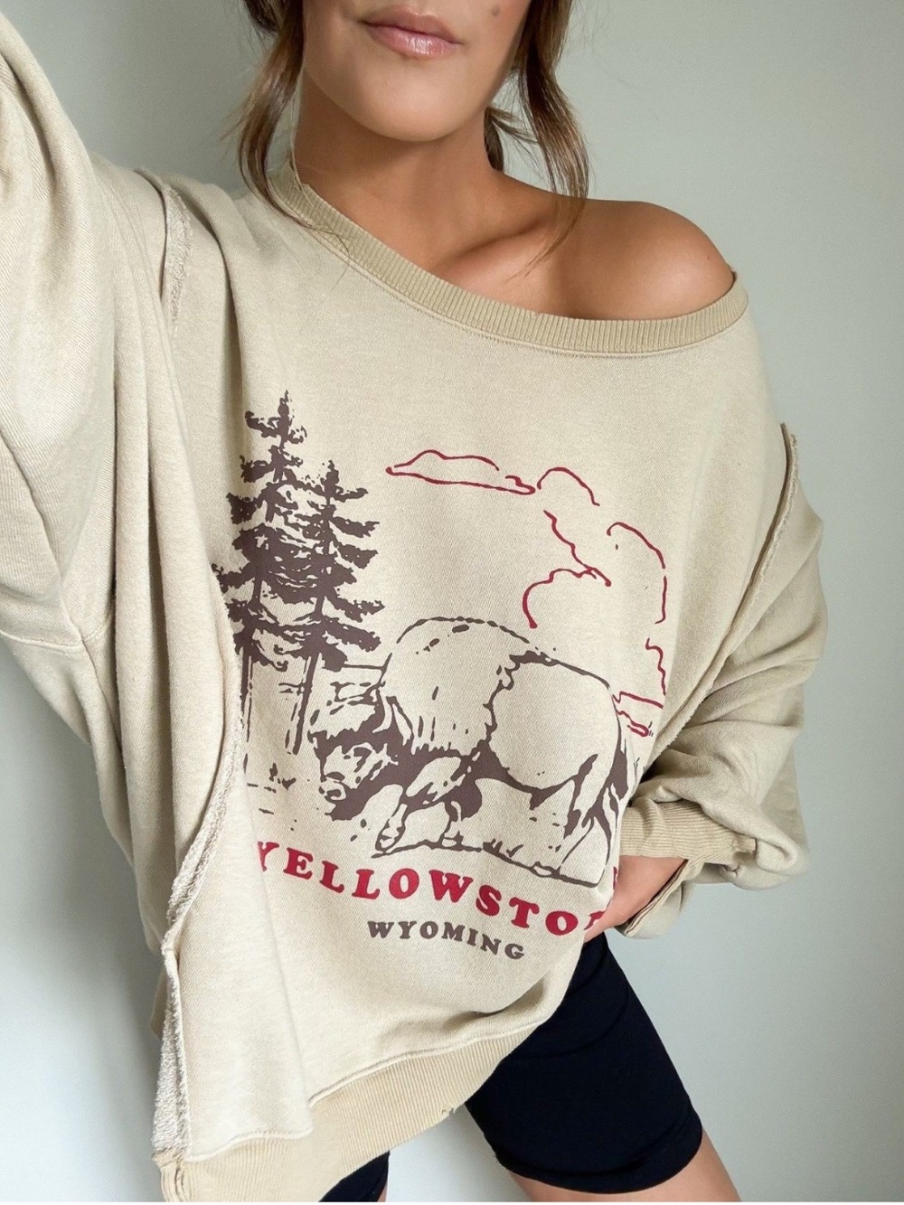 Free People Camden Yellowstone Printed Pullover Sweatshirt #2576